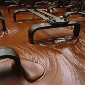 Cocoa Processing Plant