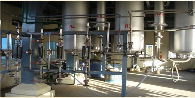 acid sulphonation